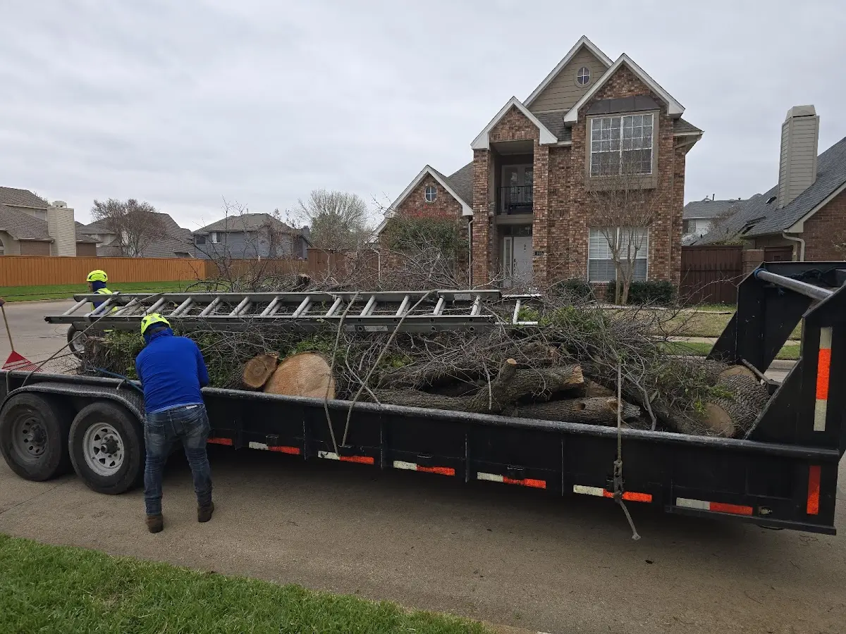 Expert Tree Fertilization with proper safety equipment in East Vandergrift